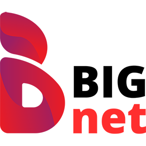 big net logo